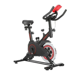 Silent Indoor Exercise Spin Bike for Home